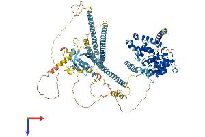 AlphaFold protein structure predicition of Mouse Recombinant Tbc1d2 Protein, UniprotID B1AVH7