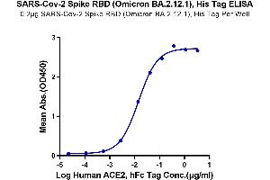Immobilized SARS-CoV-2 Spike RBD (Omicron BA.