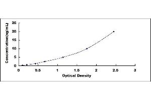 Retinol Binding Protein 5, Cellular (RBP5) ELISA Kit