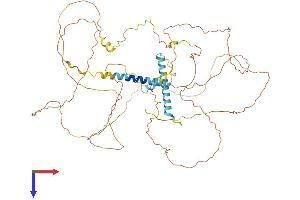 AlphaFold protein structure predicition of Human Recombinant MTDH Protein, UniprotID Q86UE4