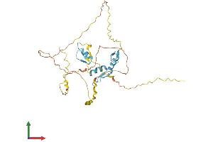AlphaFold protein structure predicition of Human Recombinant KLF14 Protein, UniprotID Q8TD94