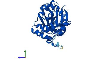 AlphaFold protein structure predicition of Human Recombinant GLYAT Protein, UniprotID Q6IB77