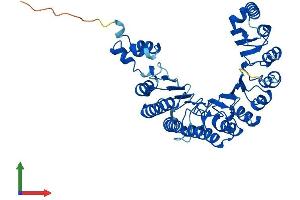 AlphaFold protein structure predicition of Mouse Recombinant Fbxo39 Protein, UniprotID Q5NBU5