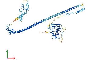 AlphaFold protein structure predicition of Mouse Recombinant Trim60 Protein, UniprotID Q8VI40