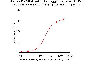 ELISA plate pre-coated by 2 μg/mL (100 μL/well) Human DNAM-1, mFc-His tagged protein (ABIN6961117, ABIN7042263 and ABIN7042264) can bind Human CD155, hFc Tagged protein ABIN6961168, ABIN7042365 and ABIN7042366 in a linear range of 0.