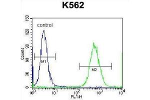 Flow Cytometry (FACS) image for anti-Cardiotrophin 1 (CTF1) antibody (ABIN2998336) (Cardiotrophin 1 anticorps)