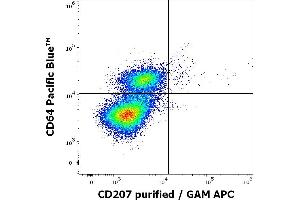 Flow cytometry multicolor intracellular staining pattern of human stimulated (GM-CSF + IL-4 + TGF-beta) monocytes using anti-human CD207 (2G3) purified antibody (concentration in sample 0.