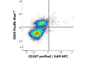 Flow cytometry multicolor intracellular staining pattern of human stimulated (GM-CSF + IL-4 + TGF-beta) monocytes using anti-human CD207 (2G3) purified antibody (concentration in sample 0. (CD207 anticorps)