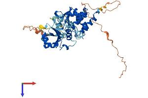 AlphaFold protein structure predicition of Human Recombinant DUSP5 Protein, UniprotID Q16690