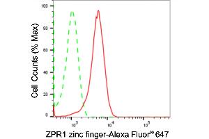 Flow cytometric analysis of ZPR1 zinc finger expression in HepG2 cells using ZPR1 zinc finger antibody (ABIN7800895), 1:2,000). (Recombinant ZNF259 anticorps)