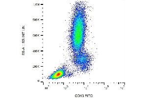 Surface staining of human peripheral blood leukocytes with anti-CD13 (WM15) FITC.