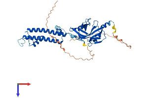 AlphaFold protein structure predicition of Human Recombinant KCNJ5 Protein, UniprotID P48544