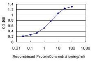 Detection limit for recombinant GST tagged PCNA is approximately 0. (PCNA anticorps  (AA 1-261))