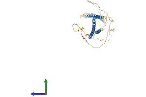 AlphaFold protein structure predicition of Mouse Recombinant Azi2 Protein, UniprotID Q9QYP6