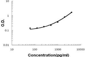 anti-Chemokine (C Motif) Ligand 1 (XCL1) (AA 22-114) antibody