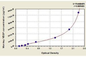 Typical standard curve (VEGFA Kit ELISA)