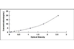 Typical standard curve (CREB3 Kit ELISA)