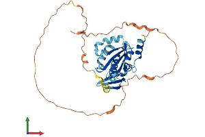 AlphaFold protein structure predicition of Mouse Recombinant Bnipl Protein, UniprotID Q99JU7