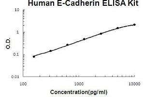 Human E-Cadherin PicoKine ELISA Kit standard curve (E-cadherin Kit ELISA)