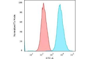 Flow Cytometric Analysis of trypsinised MeOH-fixed HeLa cells using Cytokeratin 18 Mouse Monoclonal Antibody (DE-K18) followed by Goat anti-Mouse IgG-CF488 (Blue); Isotype Control (Red).