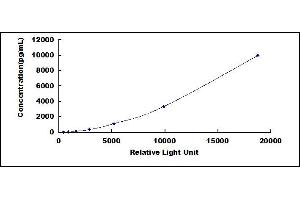 ELISA image for Phosphoserine Phosphatase (PSPH) CLIA Kit (ABIN1081804)