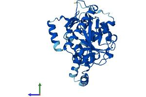 AlphaFold protein structure predicition of Human Recombinant MOGAT1 Protein, UniprotID Q96PD6