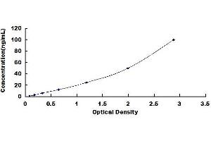 Typical standard curve (ENDOD1 Kit ELISA)