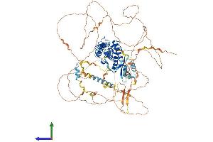AlphaFold protein structure predicition of Mouse Recombinant Gas2l2 Protein, UniprotID Q5SSG4