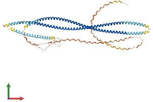 AlphaFold protein structure predicition of Mouse Recombinant Scara3 Protein, UniprotID Q8C850