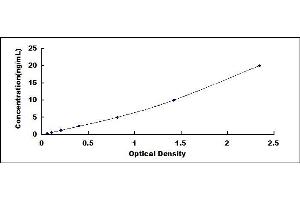 Typical standard curve (LOXL3 Kit ELISA)