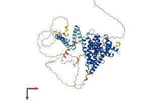 AlphaFold protein structure predicition of Mouse Recombinant Pde4d Protein, UniprotID Q01063