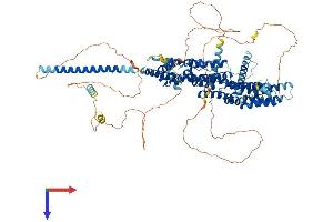 AlphaFold protein structure predicition of Mouse Recombinant Paxbp1 Protein, UniprotID P58501
