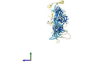 AlphaFold protein structure predicition of Mouse Recombinant Csde1 Protein, UniprotID Q91W50