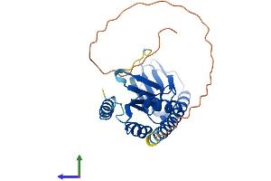 AlphaFold protein structure predicition of Human Recombinant TYW3 Protein, UniprotID Q6IPR3
