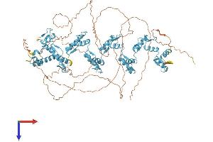 AlphaFold protein structure predicition of Human Recombinant ZFP28 Protein, UniprotID Q8NHY6