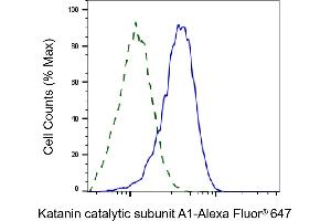 Validation of Katanin catalytic subunit A1 knockdown using flow cytometry. (Recombinant KATNA1 anticorps)