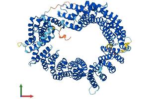 AlphaFold protein structure predicition of Mouse Recombinant Ipo13 Protein, UniprotID Q8K0C1