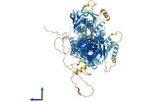 AlphaFold protein structure predicition of Mouse Recombinant Atp11a Protein, UniprotID P98197