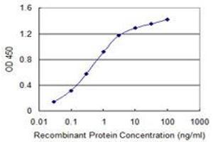 Detection limit for recombinant GST tagged MCM8 is 0.