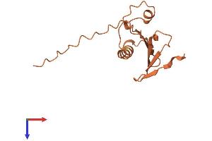 AlphaFold protein structure predicition of Human Recombinant SHANK2-AS3 Protein, UniprotID Q9BTD1