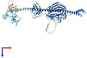 AlphaFold protein structure predicition of Mouse Recombinant Trim2 Protein, UniprotID Q9ESN6