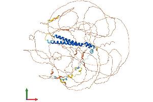 AlphaFold protein structure predicition of Human Recombinant SAP130 Protein, UniprotID Q9H0E3