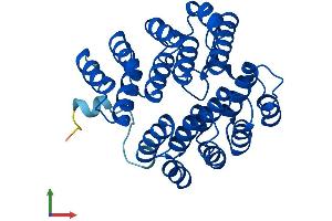 AlphaFold protein structure predicition of Human Recombinant DOHH Protein, UniprotID Q9BU89