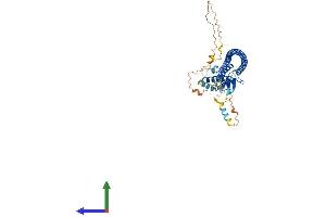 AlphaFold protein structure predicition of Human Recombinant ATG14 Protein, UniprotID Q6ZNE5