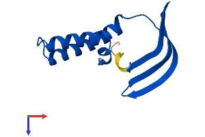 AlphaFold protein structure predicition of Human Recombinant GTF2A2 Protein, UniprotID P52657