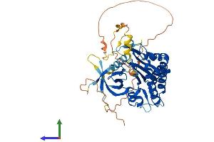 AlphaFold protein structure predicition of Mouse Recombinant Ip6k1 Protein, UniprotID Q6PD10