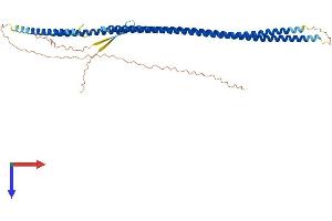 AlphaFold protein structure predicition of Mouse Recombinant Krt27 Protein, UniprotID Q9Z320