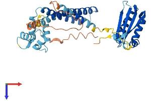AlphaFold protein structure predicition of Mouse Recombinant Necab3 Protein, UniprotID Q9D6J4
