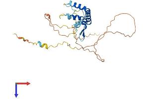 AlphaFold protein structure predicition of Human Recombinant SPRY3 Protein, UniprotID O43610