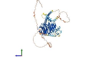 AlphaFold protein structure predicition of Human Recombinant COP1 Protein, UniprotID Q8NHY2